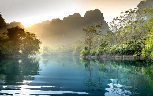 绿色高效高标准
